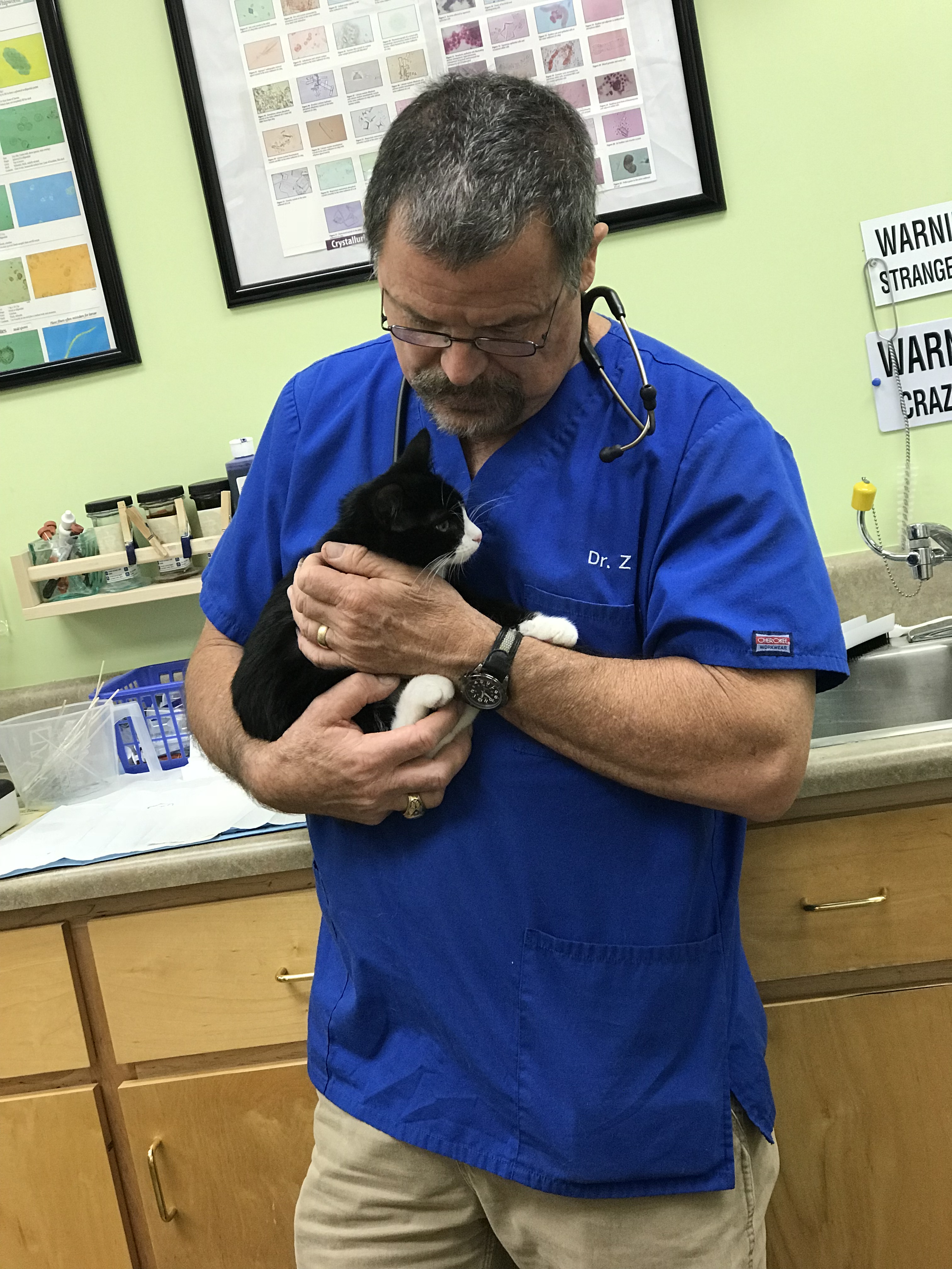 Dr. Zagrocki comforts a pet